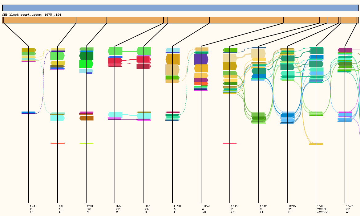 HapFlow diagram