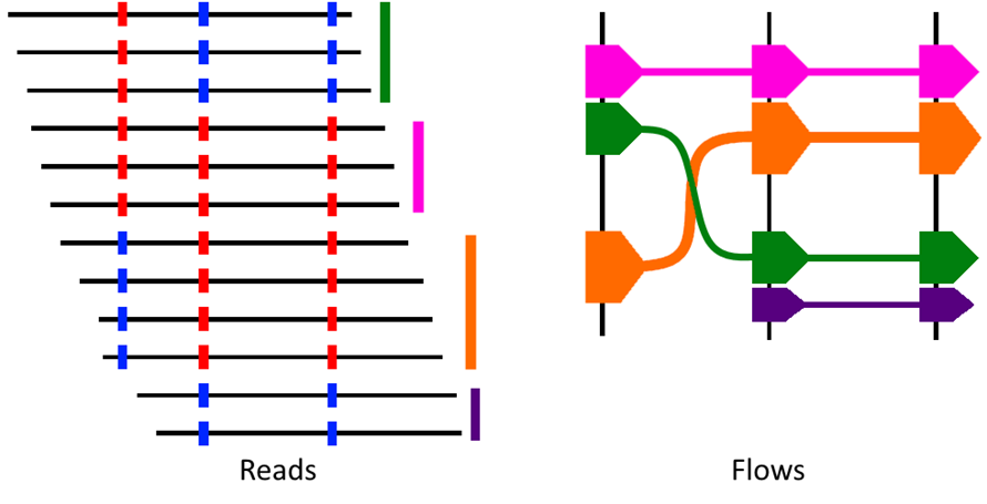 Sequencing data as flows